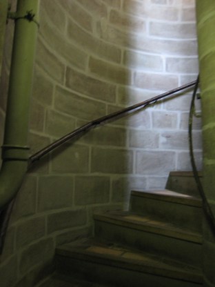 PIC_0019 Tall Tiny Tower Ascent.jpg