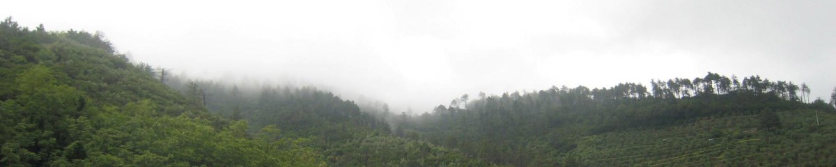 A Very Wet Day in&nbsp;Cinqueterre